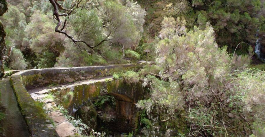 Madeira: Rabaçal Valleys 3-Hour Guided Walk - Key points to know before you go