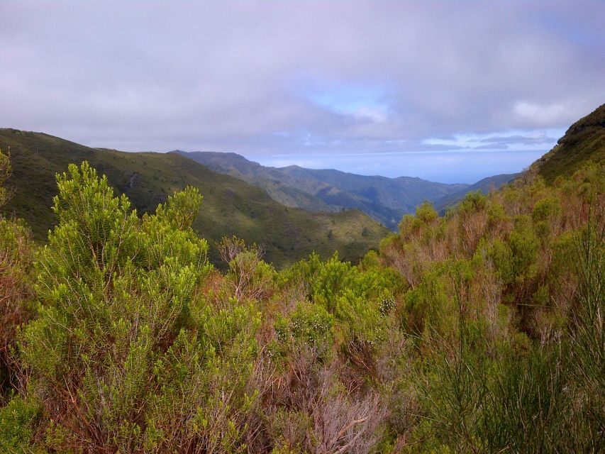 Madeira: Rabaçal Valleys 3-Hour Guided Walk - From Funchal-area pickup to Rabaçal trail time