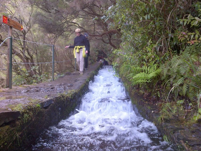 Madeira: Rabaçal Valleys 3-Hour Guided Walk - Levadas: Madeira’s aqueduct paths (and why they’re great to walk)