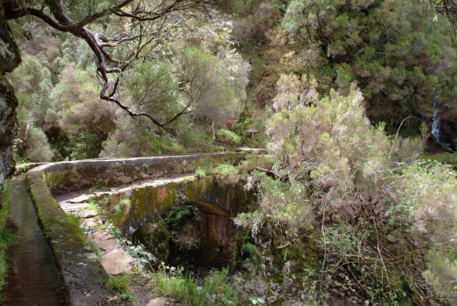 Madeira: Rabaçal Valleys 3-Hour Guided Walk - Laurisilva forest: the UNESCO part you’ll feel in your legs