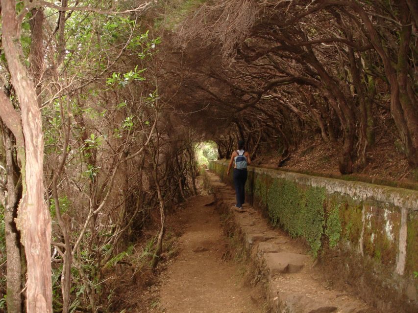 Madeira: Rabaçal Valleys 3-Hour Guided Walk - What you’re actually paying for at $48