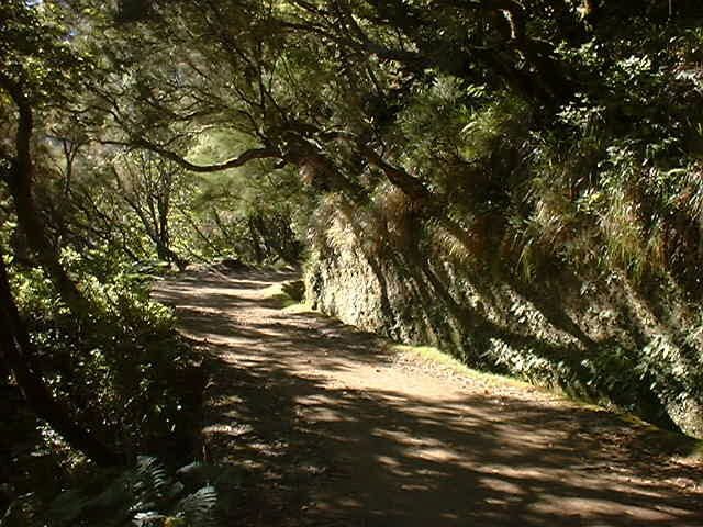 Madeira: Rabaçal Valleys 3-Hour Guided Walk - Packing for a moderate 10 km walk in Madeira
