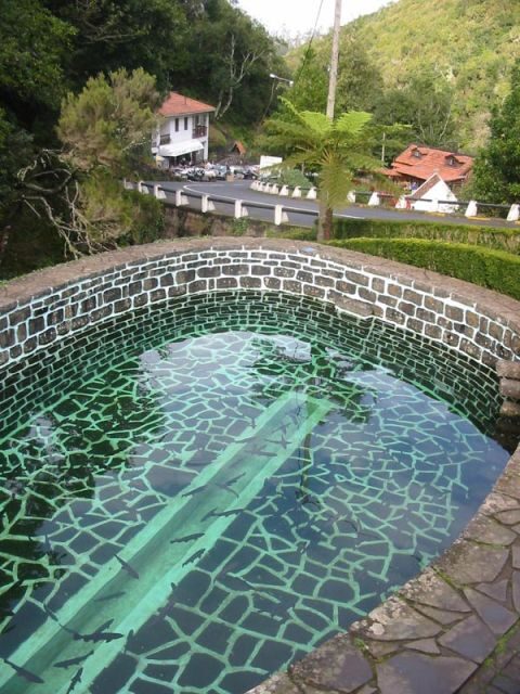 Madeira: Ribeiro Frio to Portela 4-Hour Guided Walk - Key highlights at a glance