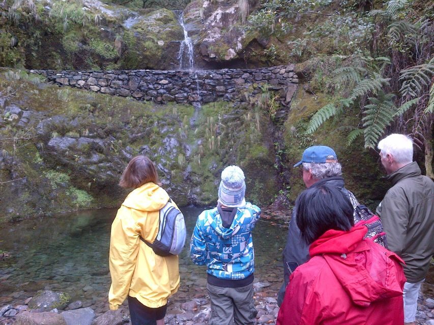 Madeira: Ribeiro Frio to Portela 4-Hour Guided Walk - Laurisilva forest: walking in the UNESCO 149.5 km reality