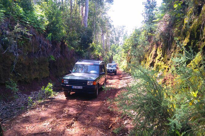 Madeira Safari - East of the island - Why this East Madeira Safari feels different than a bus day