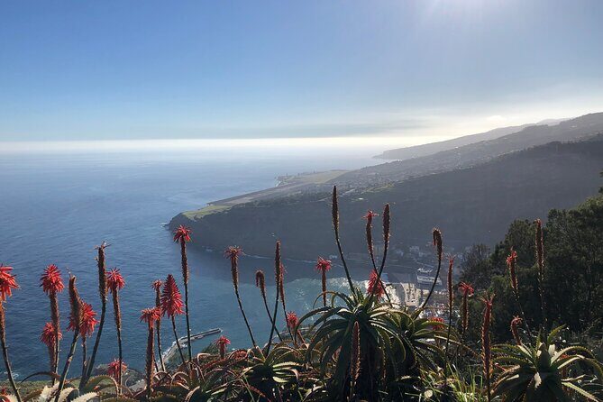 Madeira Safari - East of the island - The open-roof 4x4 ride: views, comfort, and photo reality
