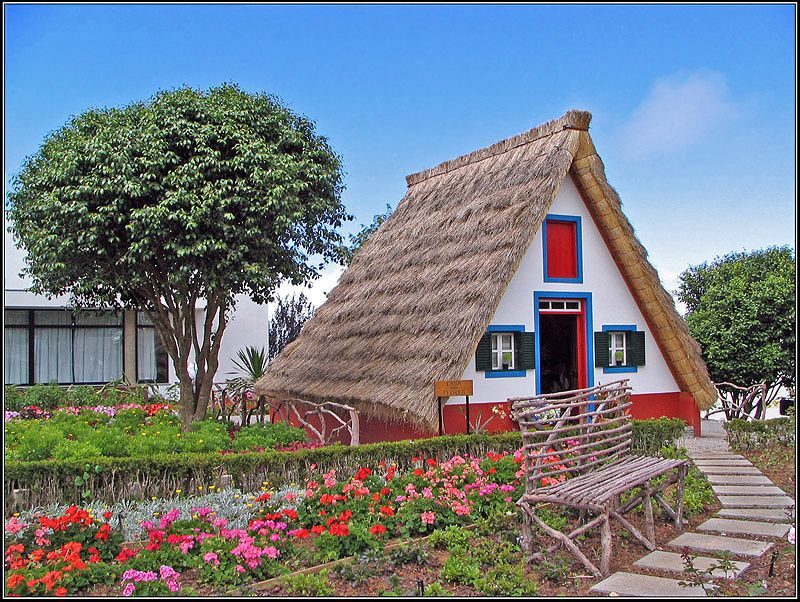 Madeira: Santana 6-Hour Full-Day Tour - Ribeiro Frio and the trout hatchery: a quick nature reset