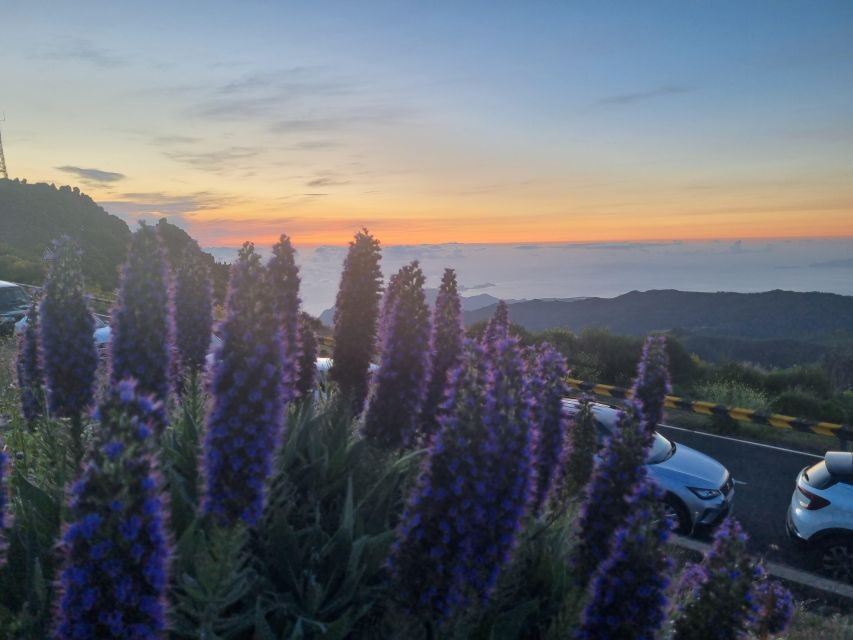 Madeira : Santana, Pico Arieiro, walk full day 4x4 Jeep tour - Ribeiro Frio: the optional 45-minute stretch