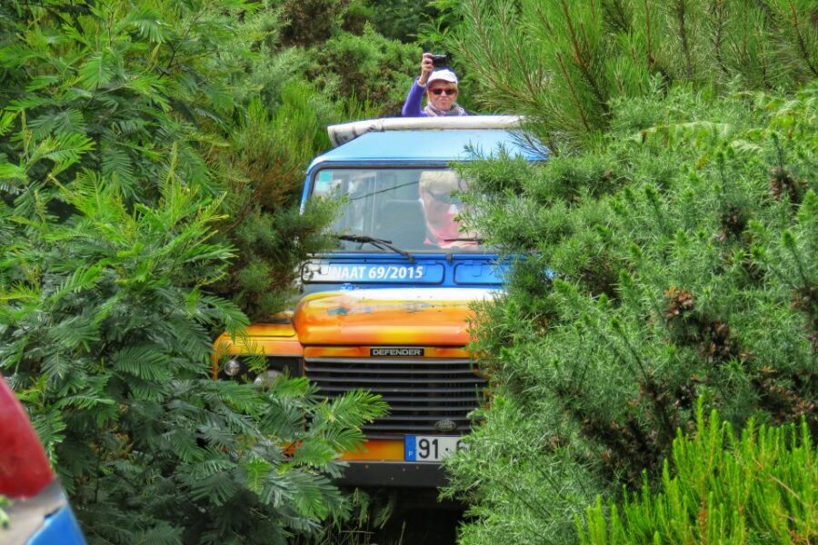 Madeira : Santo de Serra Local Farmers' Market half day trip - Your Guide Makes (or Breaks) the Experience
