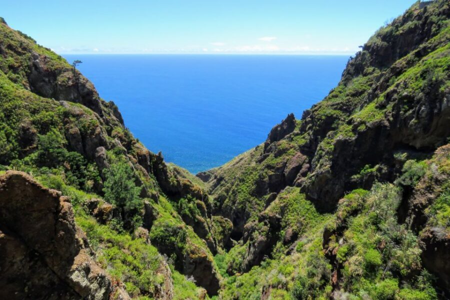 Madeira : Santo de Serra Local Farmers' Market half day trip - Pickup, Timing, and Comfort: The Practical Side