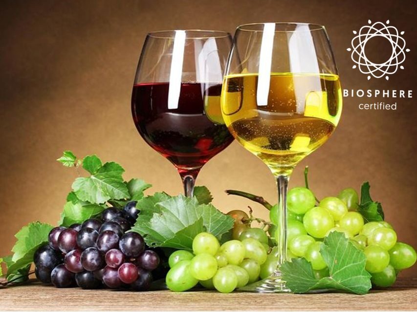 Madeira: Signature Wine Tasting, Skywalk & Nature Expedition - Price and value: what $104 buys you on a short Madeira trip