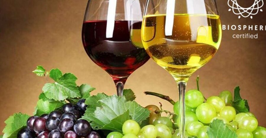 Madeira: Signature Wine Tasting, Skywalk & Nature Expedition - Miradouro da Encumeada and north-coast photo breaks you’ll actually remember