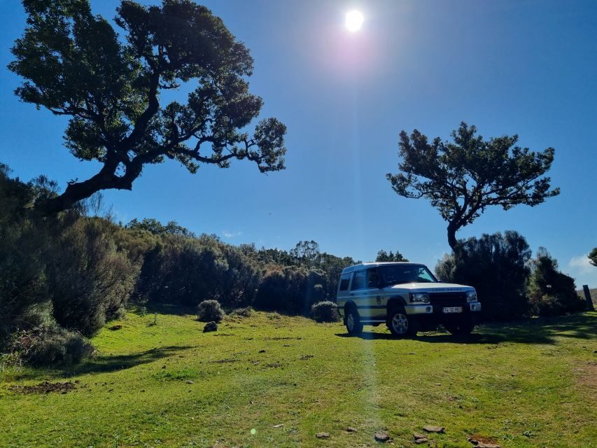 Madeira : SkyWalk, Fanal, Natural Pools 4x4 Jeep Tour - The drive through villages and viewpoints (Campanário, Ponta do Sol, and more)