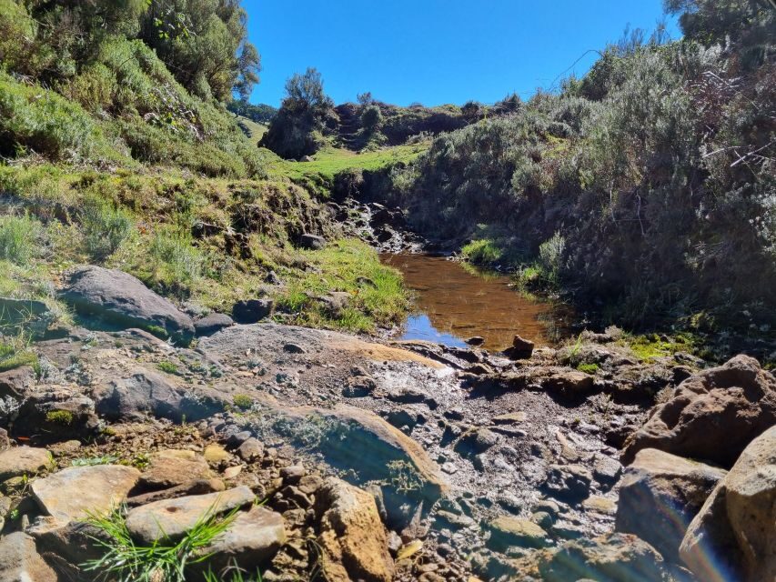 Madeira : SkyWalk, Fanal, Natural Pools 4x4 Jeep Tour - Fanal Pond: century-old trees, a real walk, and that slow Madeira feeling