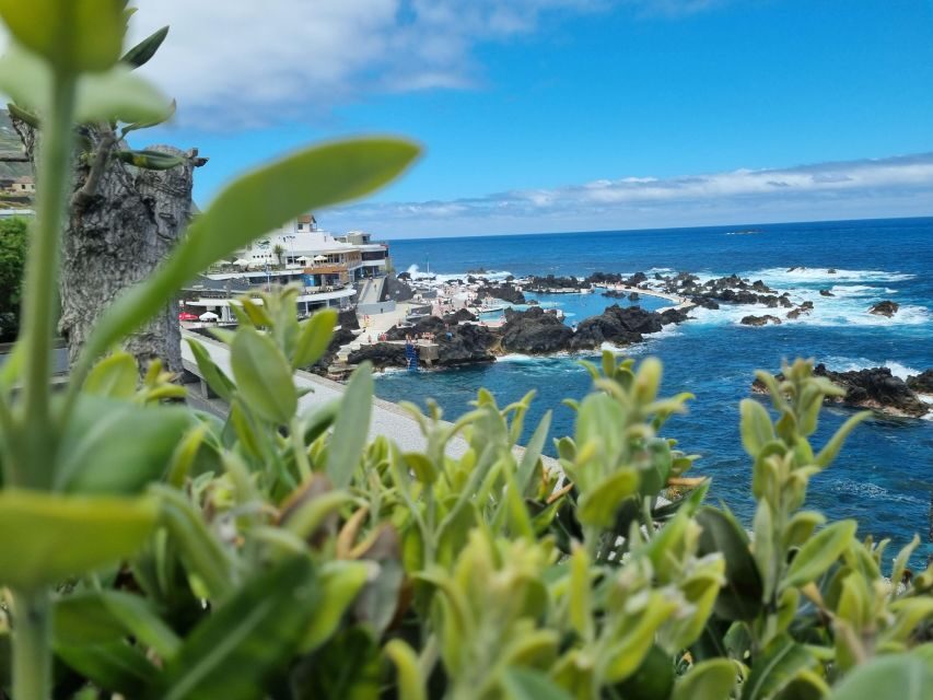 Madeira : SkyWalk, Fanal, Natural Pools 4x4 Jeep Tour - Porto Moniz Natural Swimming Pools: the main reason to book