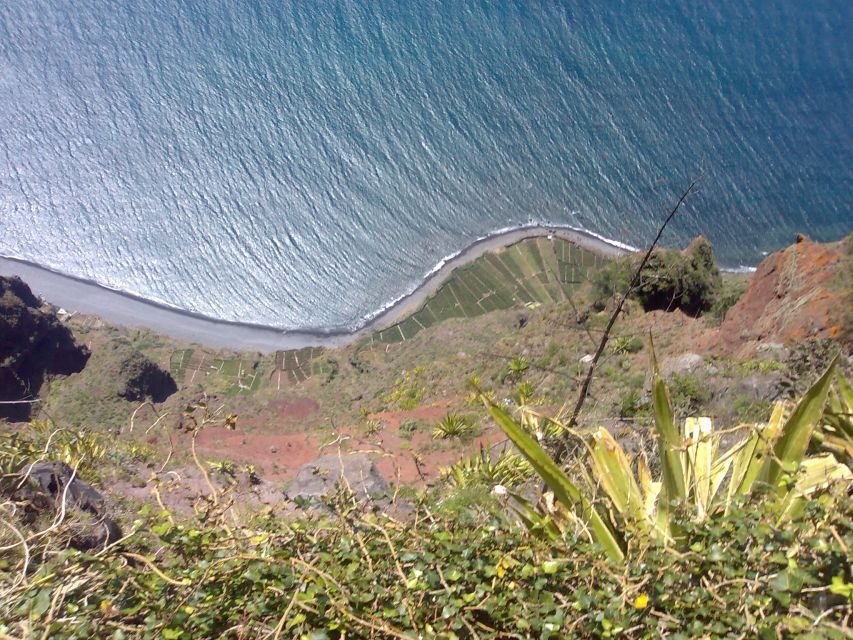 Madeira South West: Half Day Private Tour - Câmara de Lobos: Guided Time With Real Local Texture