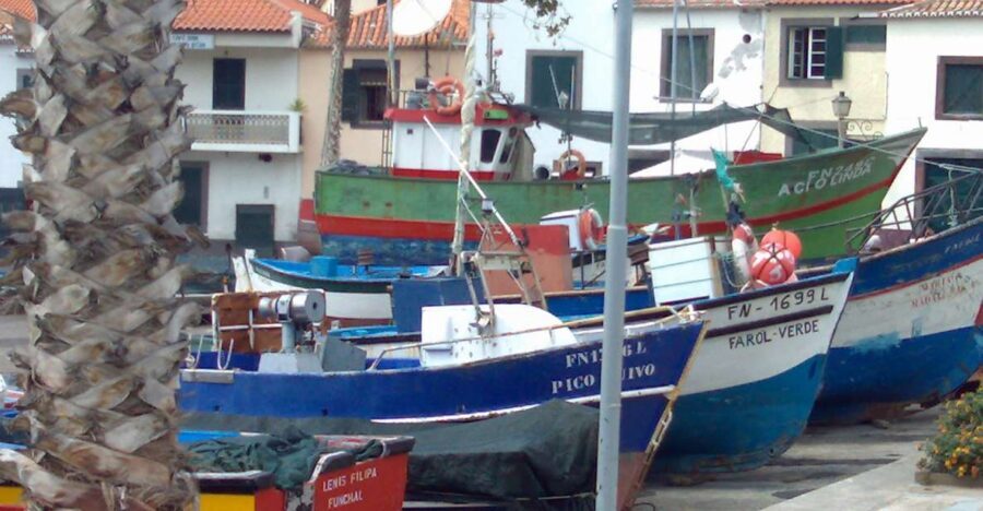 Madeira South West: Half Day Private Tour - Ribeira Brava: When the Town Name Explains the Geography