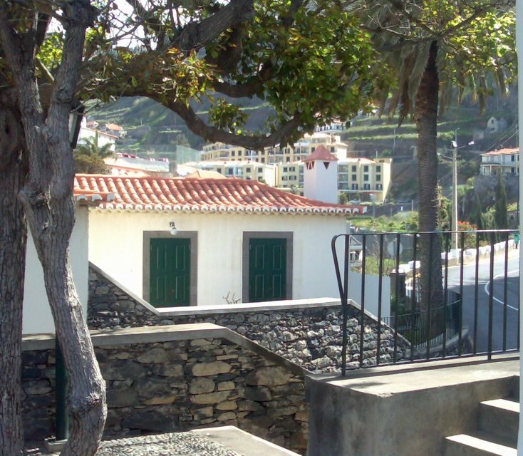 Madeira South West: Half Day Private Tour - Pickup From Funchal, Câmara de Lobos, and Caniço: Your Day Starts Easy