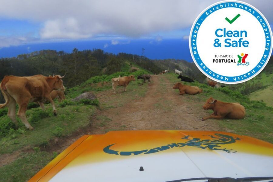 Madeira : Southwest coast, Run & Anjo´s Waterfall 4x4 Tour - Paul do Mar, Jardim do Mar, and Calheta again: a south coast rhythm
