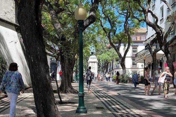 Madeira Special City Tuk Tuk Tour and Viewpoints by MadTuk - Quinta das Cruzes and the Cathedral: quick culture, no pressure to tour