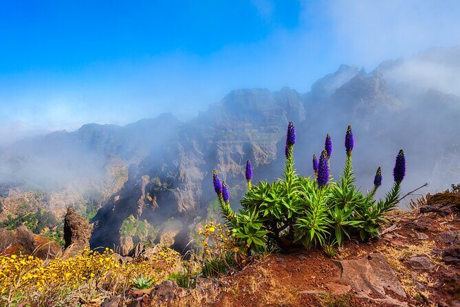 Madeira Stairway to Heaven to Larano Hike Mountain to Sea - Coffee and a breather before Vereda do Larano
