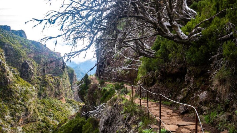 Madeira Stairway to Heaven to Larano Hike Mountain to Sea - Price and value: what the $88 covers (and what that means for you)
