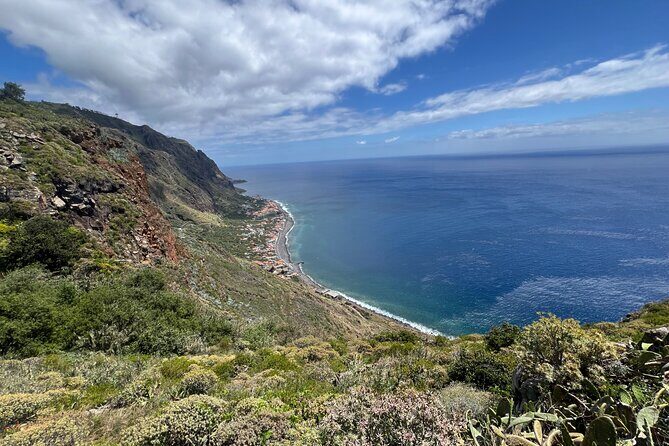 Madeira surprise tour - Fanal: ancient trees and a quieter kind of magic