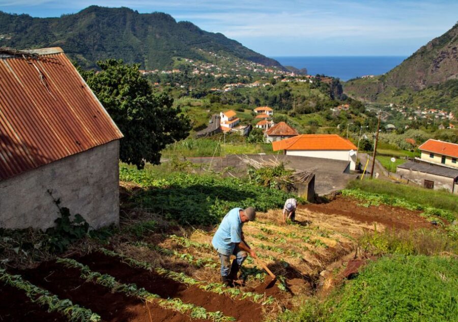 Madeira: The Best of South Jeep Tour - Ponta de São Lourenço: The Rugged Coast Bonus