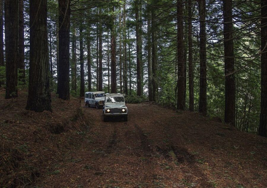 Madeira: The Enchanting North - Faial and Ribeiro Frio: scenic drives with targeted photo time