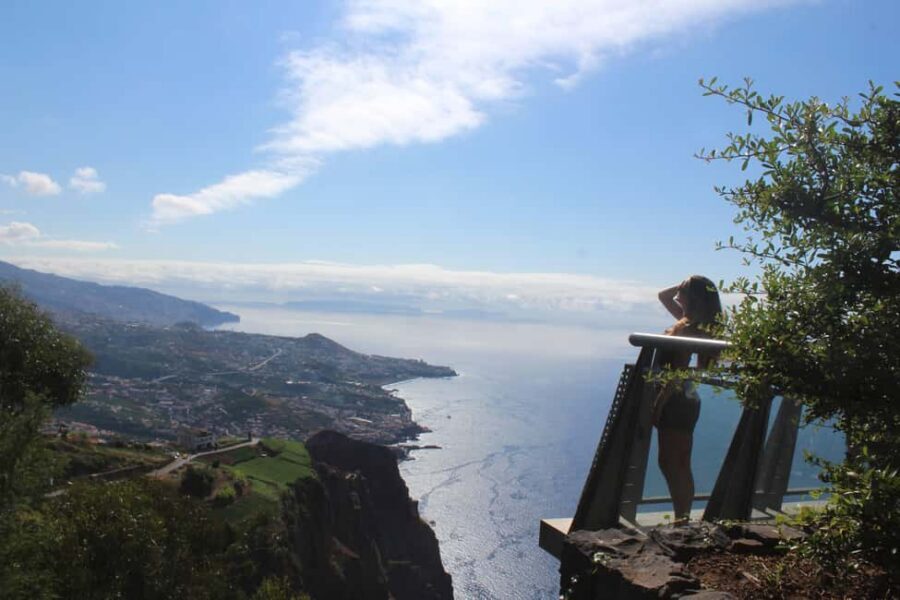 Madeira - Vineyard Tour Wine Tasting - Included - Key highlights you’ll actually care about