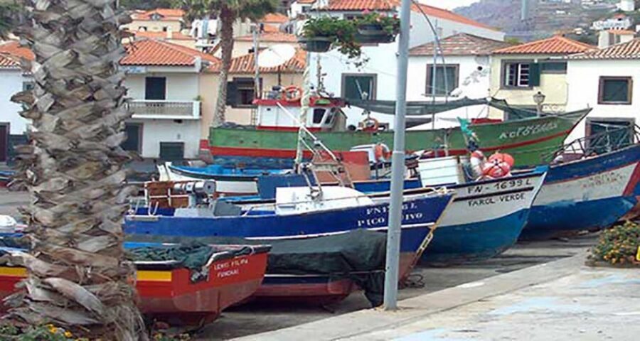 Madeira - Vineyard Tour Wine Tasting - Included - Câmara de Lobos: Churchill’s paint spot, monk seals, and a village scale
