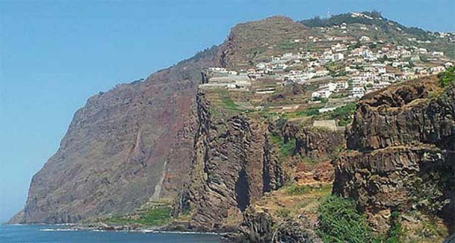 Madeira - Vineyard Tour Wine Tasting - Included - How the 4-hour timing works in your favor