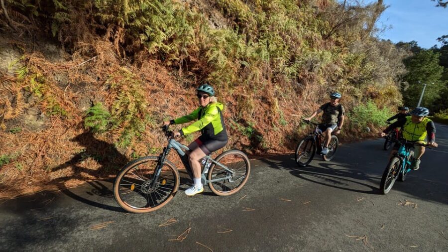 Madeira West coast: Guided Sightseeing E-Bike Tour - Lombada dos Marinheiros: levadas, terraces, and sea views