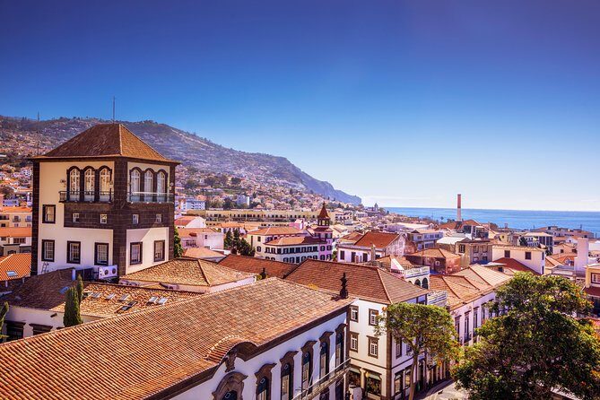 Madeira West Island Full Day Small-Group Tour from Funchal - Ribeira Brava in Madeira’s Deep Valley: Town Views, Not Just Coast