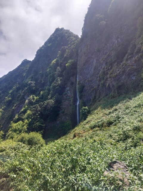 Madeira West Safari - The natural lava pools of Porto Moniz - Fanal Forest: a slower stop inside Madeira’s weather-changes