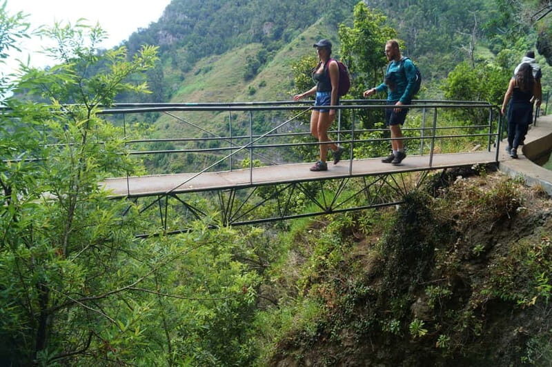 Madeira: Wet your hair in the amazing Levada Nova / Moinhos - The Levada trail: waterfalls, old stone waterworks, and those exposed edges
