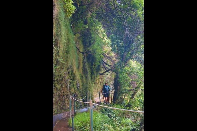 Madeira: Wet your hair in the amazing Levada Nova / Moinhos - Guides and safety: professional support, plus real communication