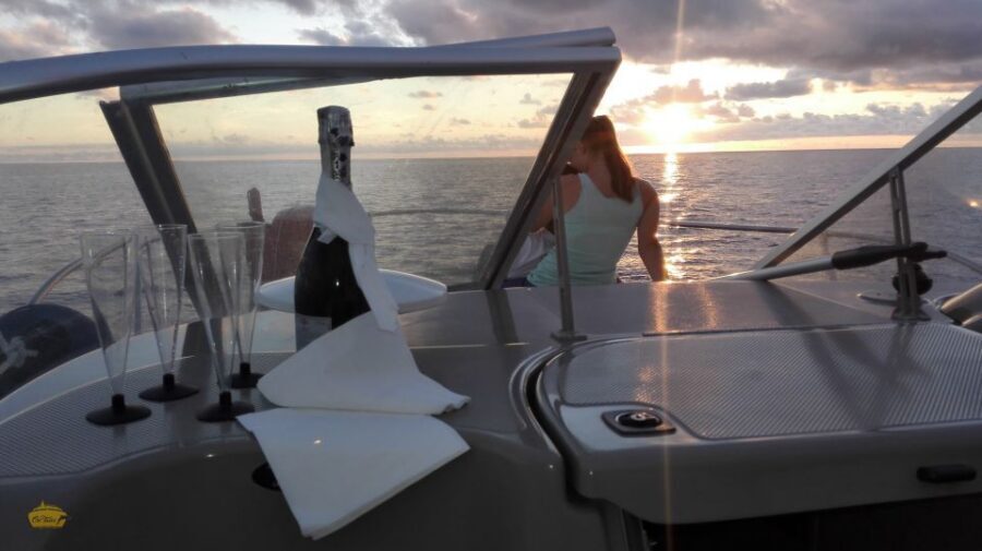 Madeira: Whale and Dolphin Watching Private Cruise - Meeting at On Tales in Marina da Calheta