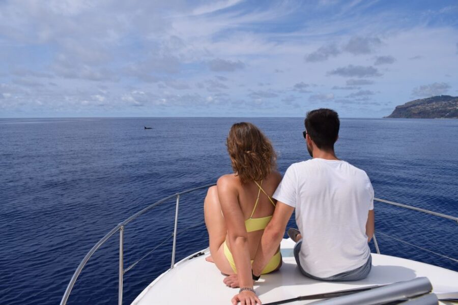 Madeira: Whale and Dolphin Watching Private Cruise - The swim and snorkel break off Calheta