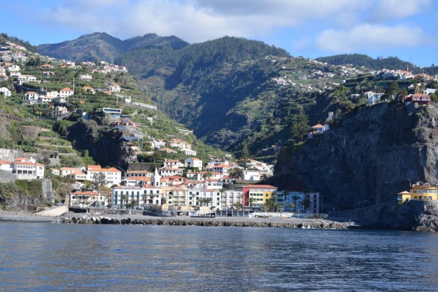 Madeira: Whale and Dolphin Watching Private Cruise - Who should book this Madeira cruise (and who should skip)