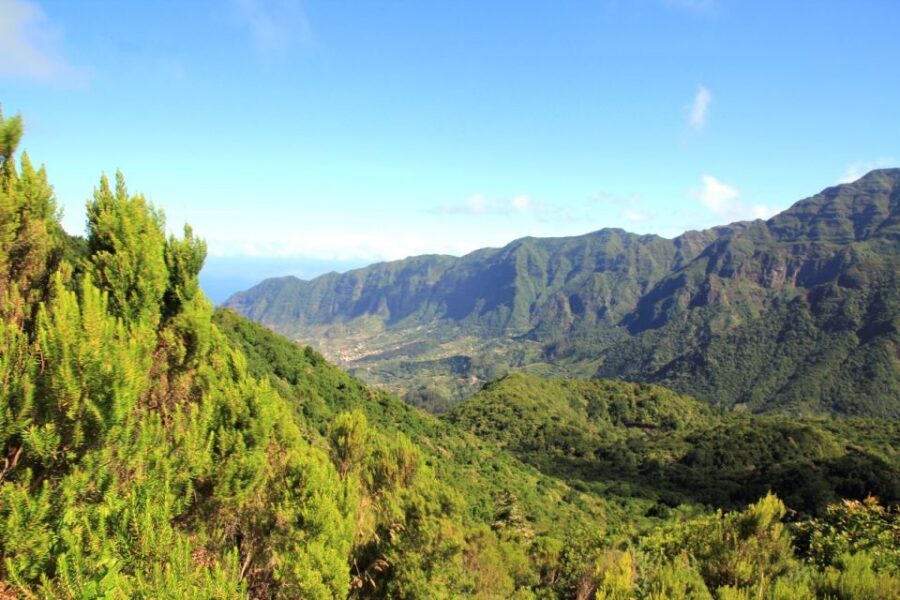 Madeira: Wine Safari Jeep Tour with Local Guide - Hotel Pickup in Funchal and the Smooth Start