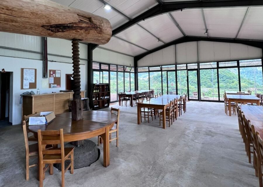 Madeira: Wine Tasting Guided Tour, Jeep Safari, & Viewpoints - São Vicente and the Vineyard Hills: where the road gets serious