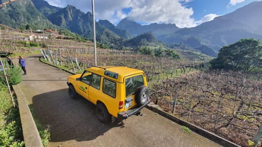 Madeira: Wine Tasting Guided Tour, Jeep Safari, & Viewpoints - Value Check: is $94 worth it for Madeira wine + 4x4?