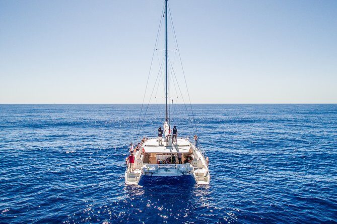 Magic Dolphin Celebrity - Magic Dolphin Celebrity: Why the 25-Person Catamaran Feels Different