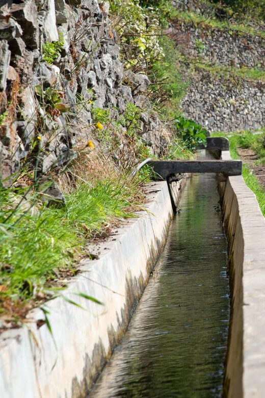 Maroços Madeira Island Levada Walk - Tips to get the most from your 2.25 hours on the trail