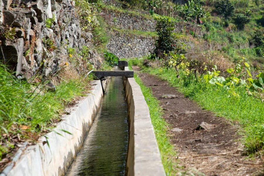 Maroços Madeira Island Levada Walk - Should you book this Levada dos Maroços walk?