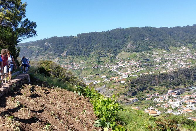 Maroços - Mimosa Valley - Key highlights to know before you go