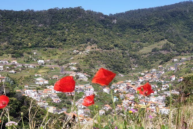 Maroços - Mimosa Valley - Getting your bearings fast with a small group (max 16)