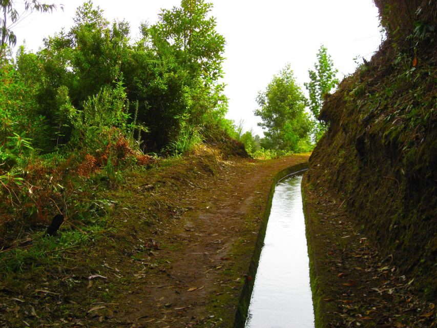 Maroços / Mimosa Valley - Levada Walk - Maroços and Mimosa Valley: Why This Short Walk Feels Meaningful