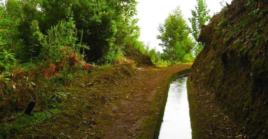 Maroços / Mimosa Valley - Levada Walk - The Farming You Can See Up Close (And Why That Matters)